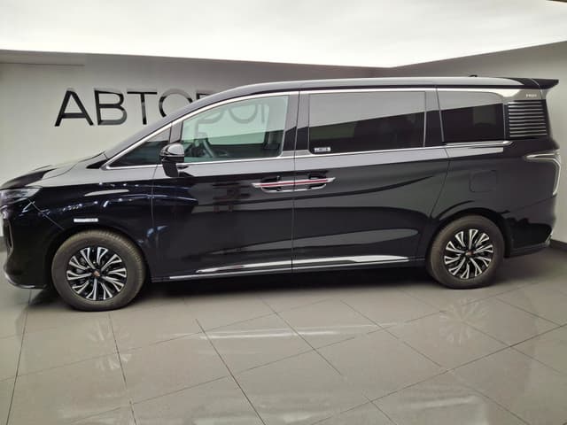 Hongqi HQ9 2.0T Executive в лизинг - 3