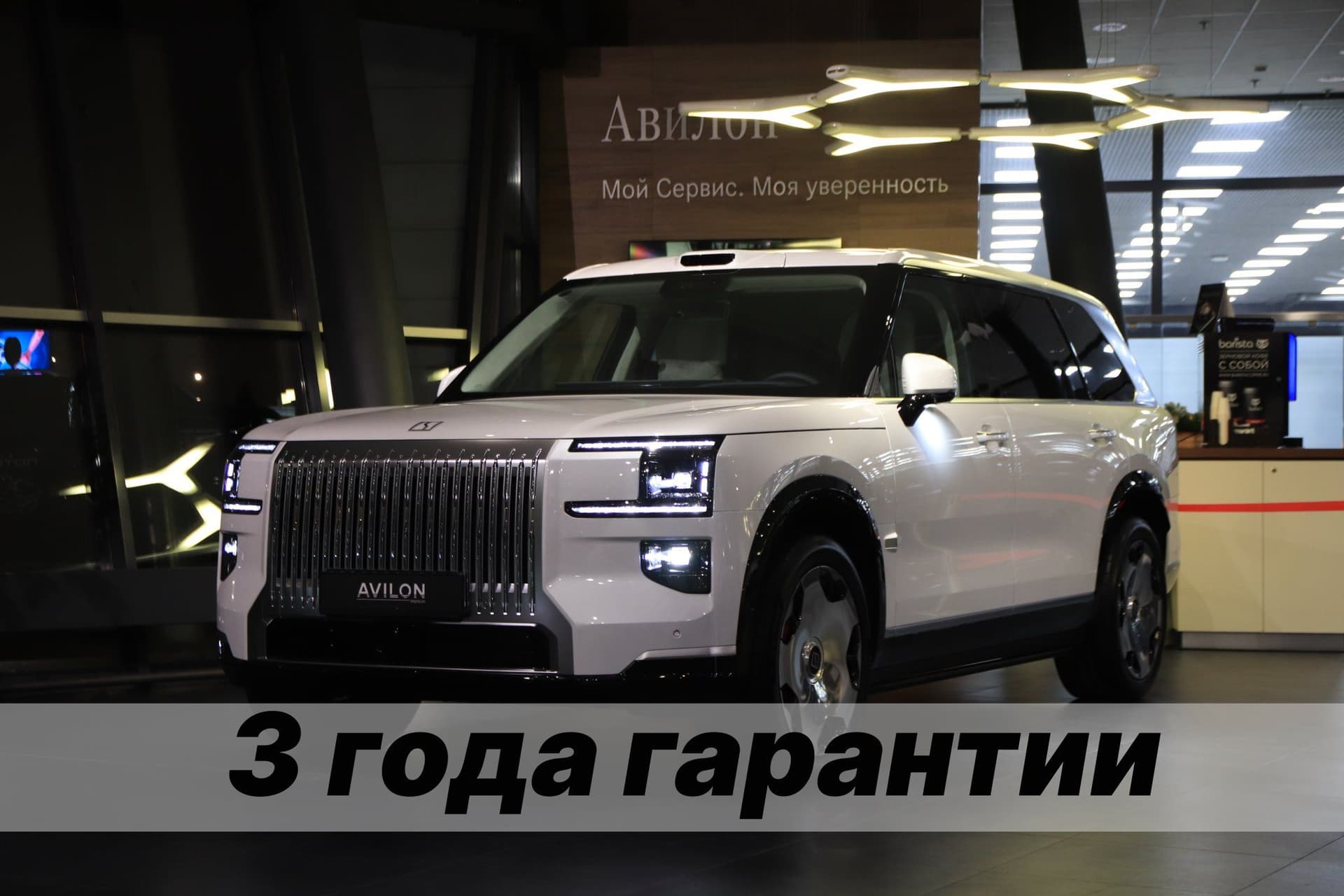 Zeekr 9X Max version 55kWh в лизинг - 6