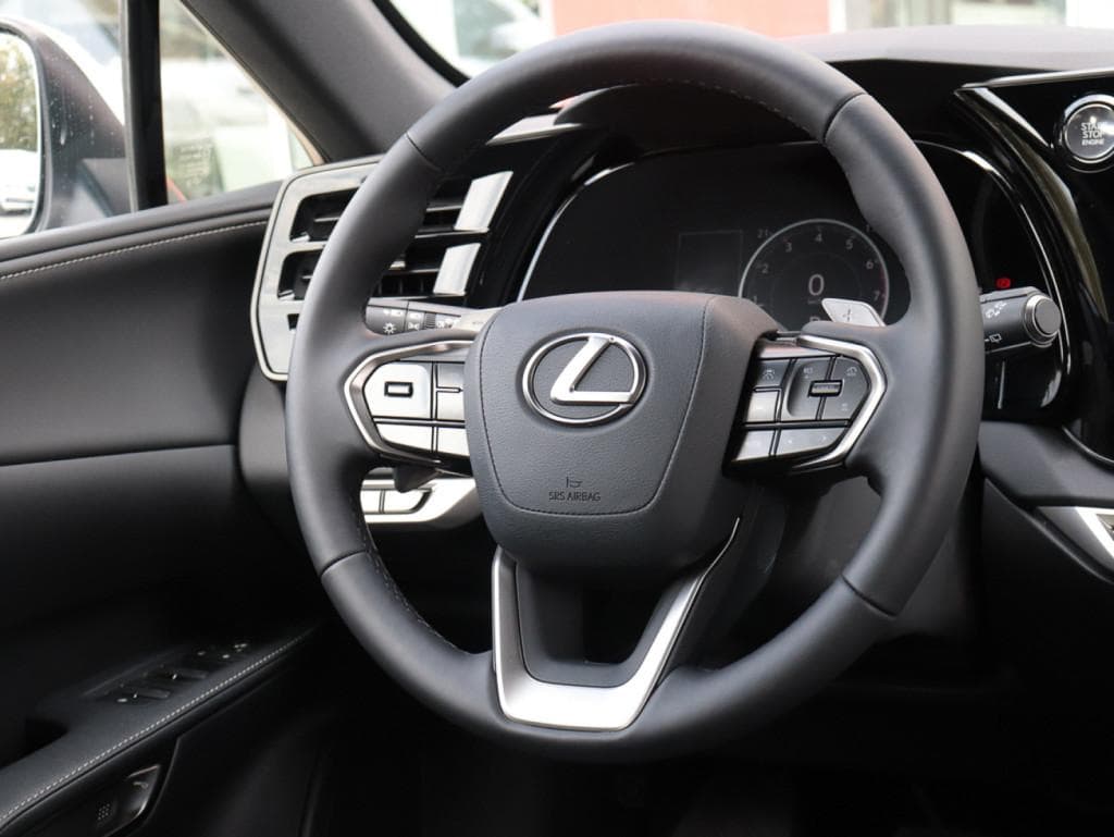 Lexus RX 350 Executive в лизинг - 14