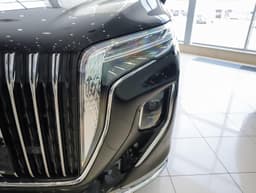 Hongqi HQ9 2.0T Executive в лизинг - 7