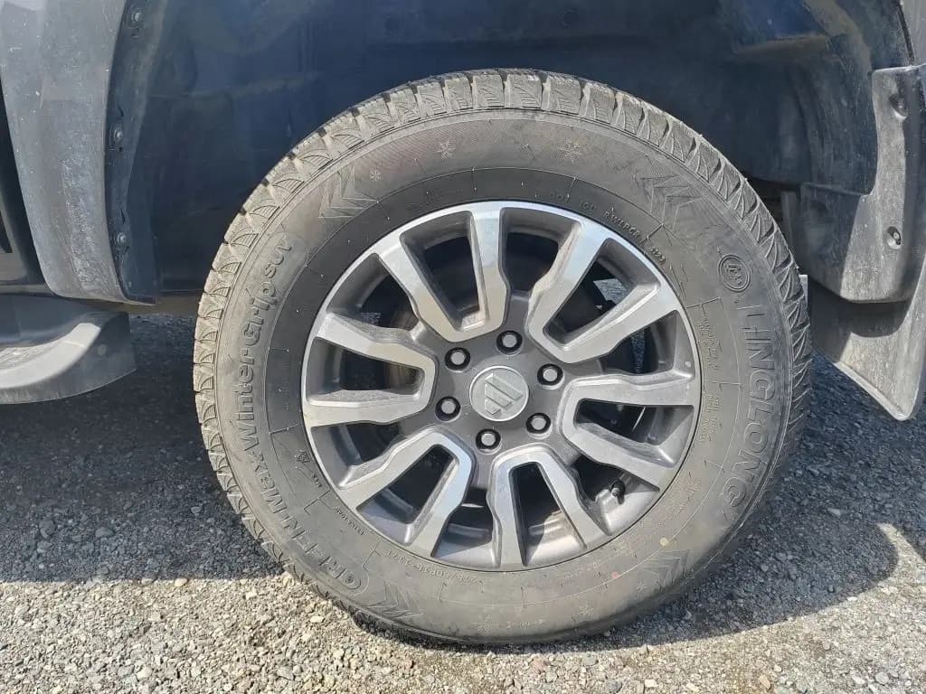 Foton Tunland - 10