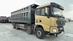 Shacman (Shaanxi) SX* 8x4 Самосвал - 2
