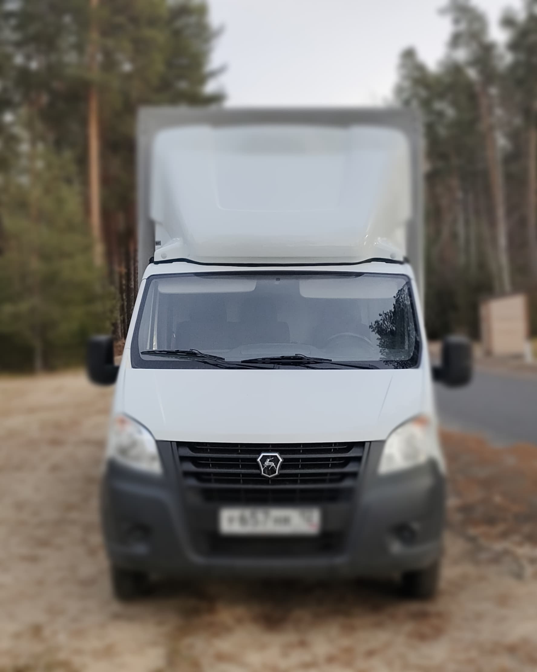 Новый Завод 3009* на шасси GAZ GAZELLE NEXT Бортовой (Евроборт) - 2
