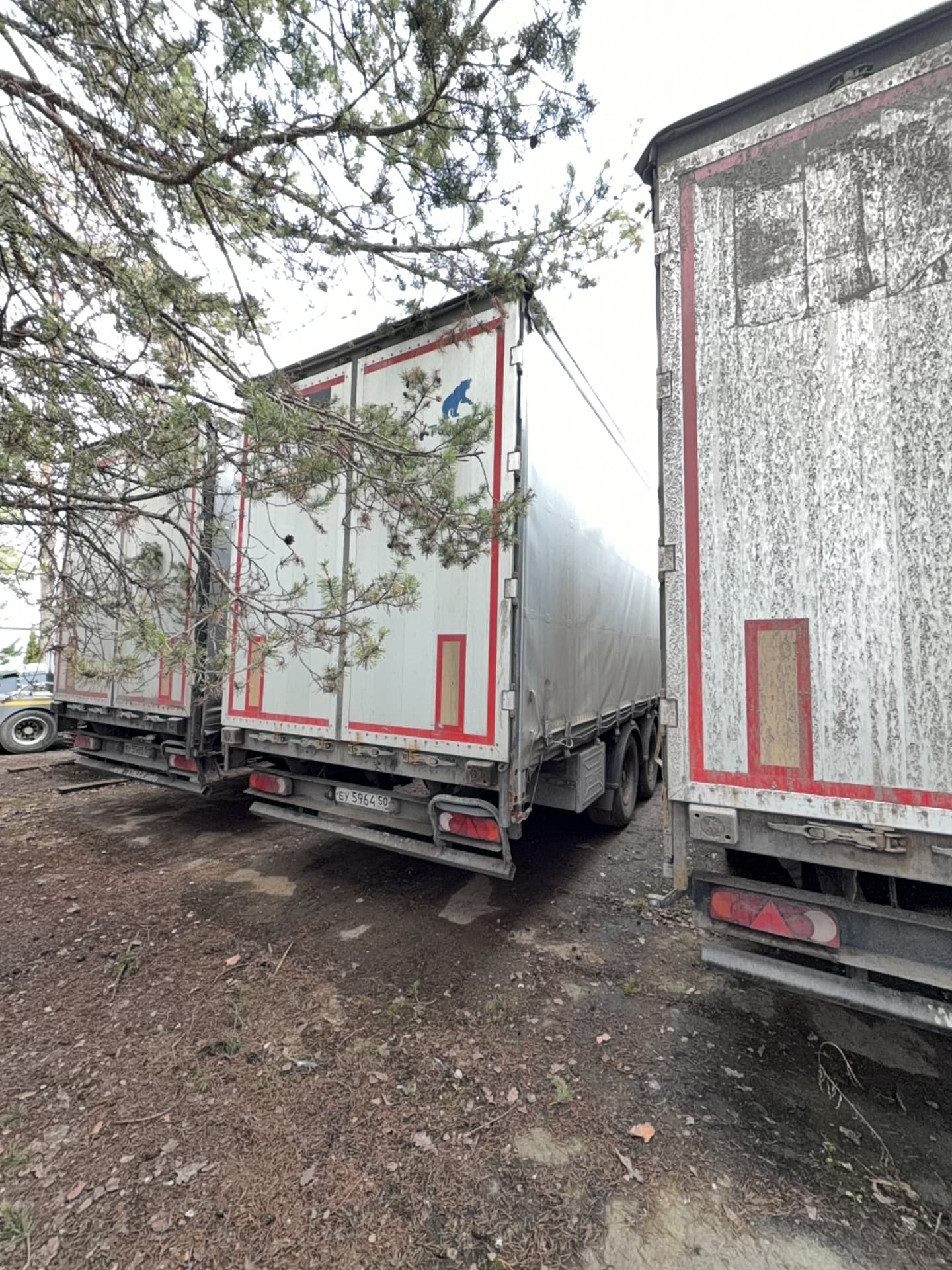Тонар 9888* Полуприцеп шторный - 3