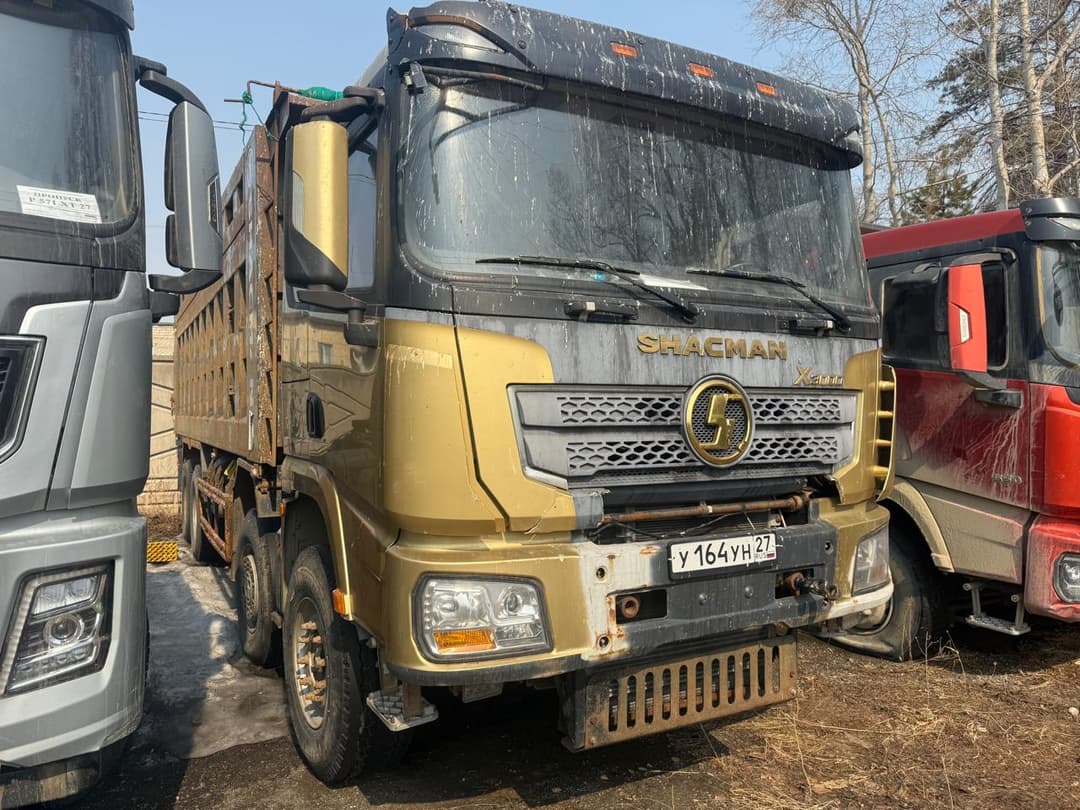 Shacman (Shaanxi) SX* 8x4 Самосвал - 2