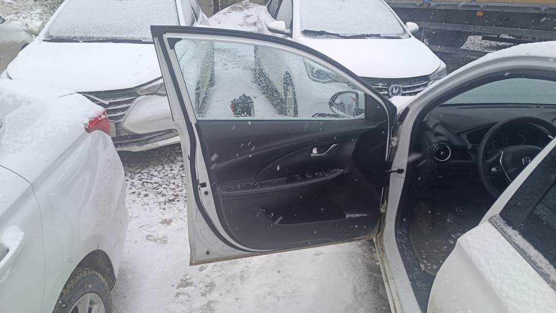 Changan Alsvin - 8