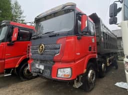 Shacman (Shaanxi) SX* 8x4 Самосвал - 1