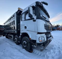 Shacman (Shaanxi) SX* 8x4 Самосвал - 2