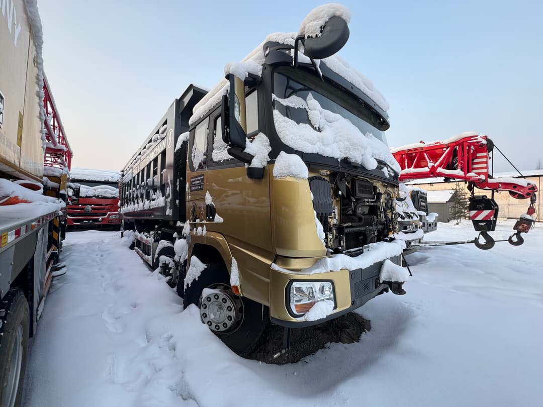Shacman (Shaanxi) SX* 8x4 Самосвал - 2