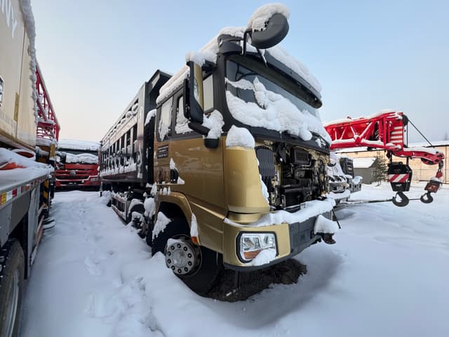 Shacman (Shaanxi) SX* 8x4 Самосвал - 2