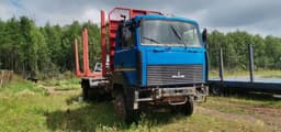 МАЗ 6317* 6x6 Сортиментовоз - 2