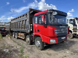 Shacman (Shaanxi) SX* 8x4 Самосвал - 2