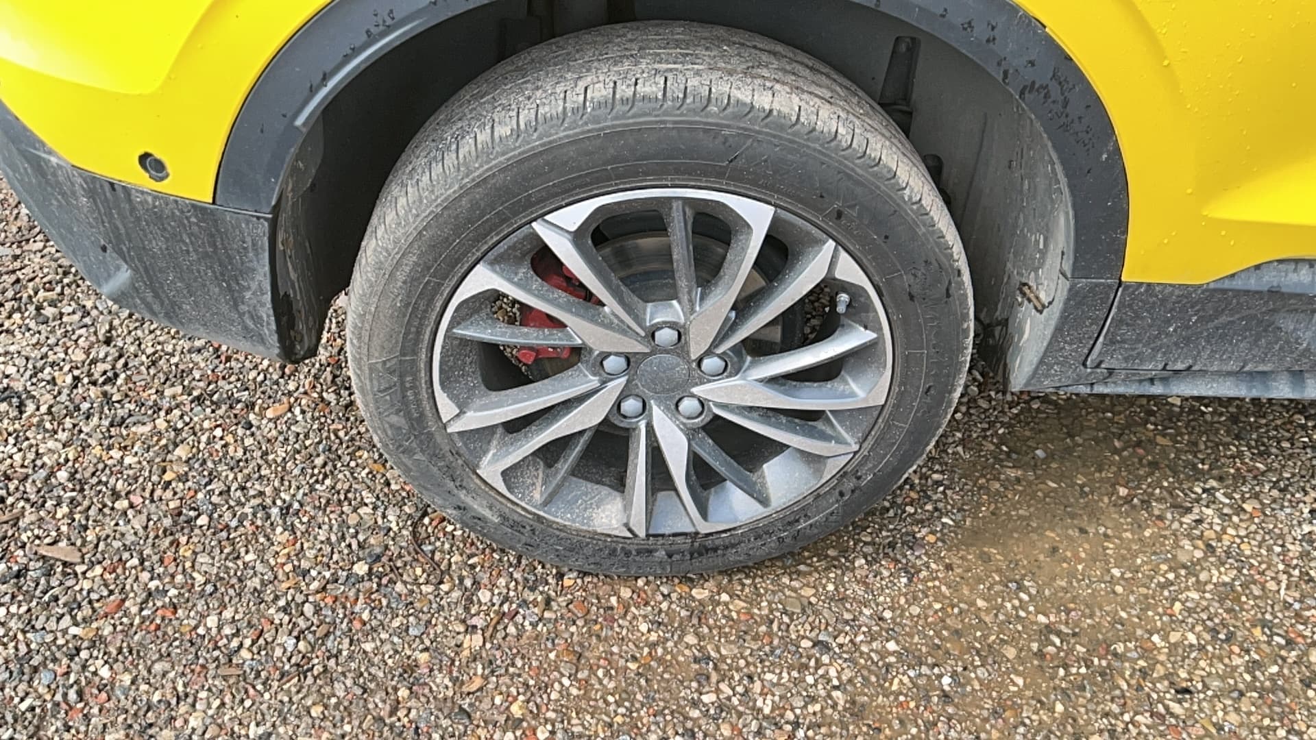 Belgee X50 - 10