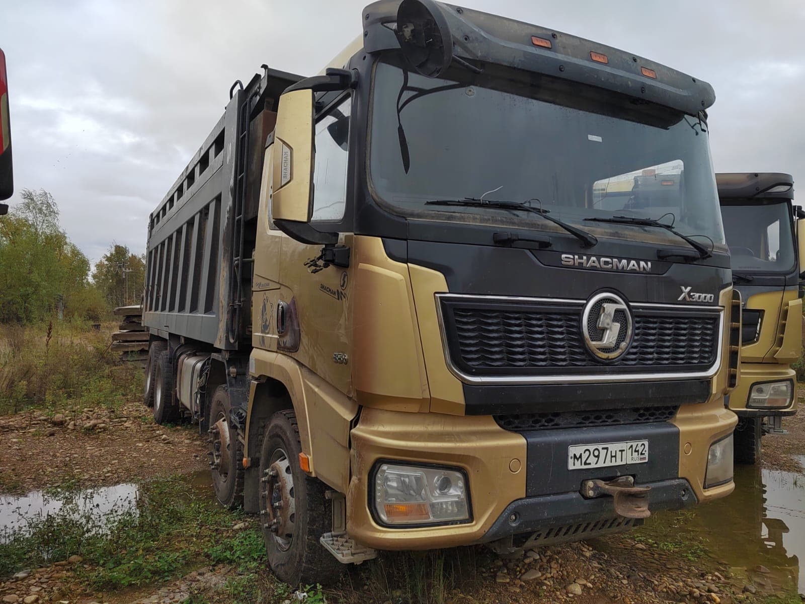 Shacman (Shaanxi) SX* 8x4 Самосвал - 2
