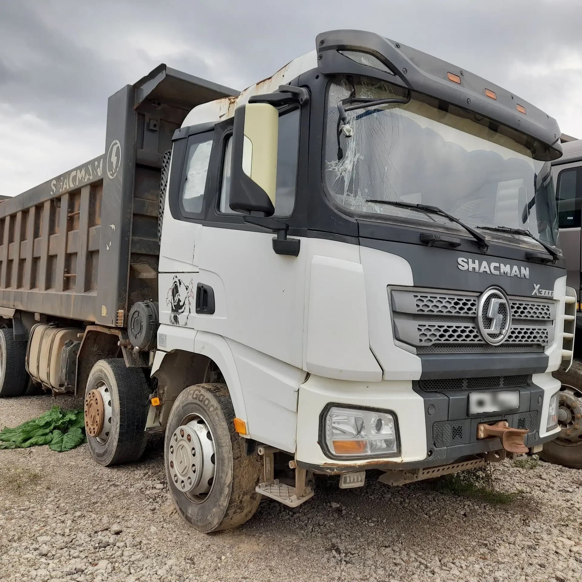 Shacman (Shaanxi) SX* 8x4 Самосвал - 2