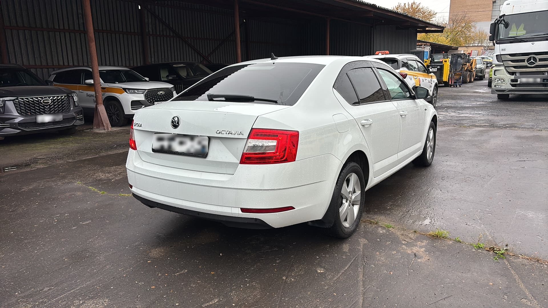Skoda Octavia - 2