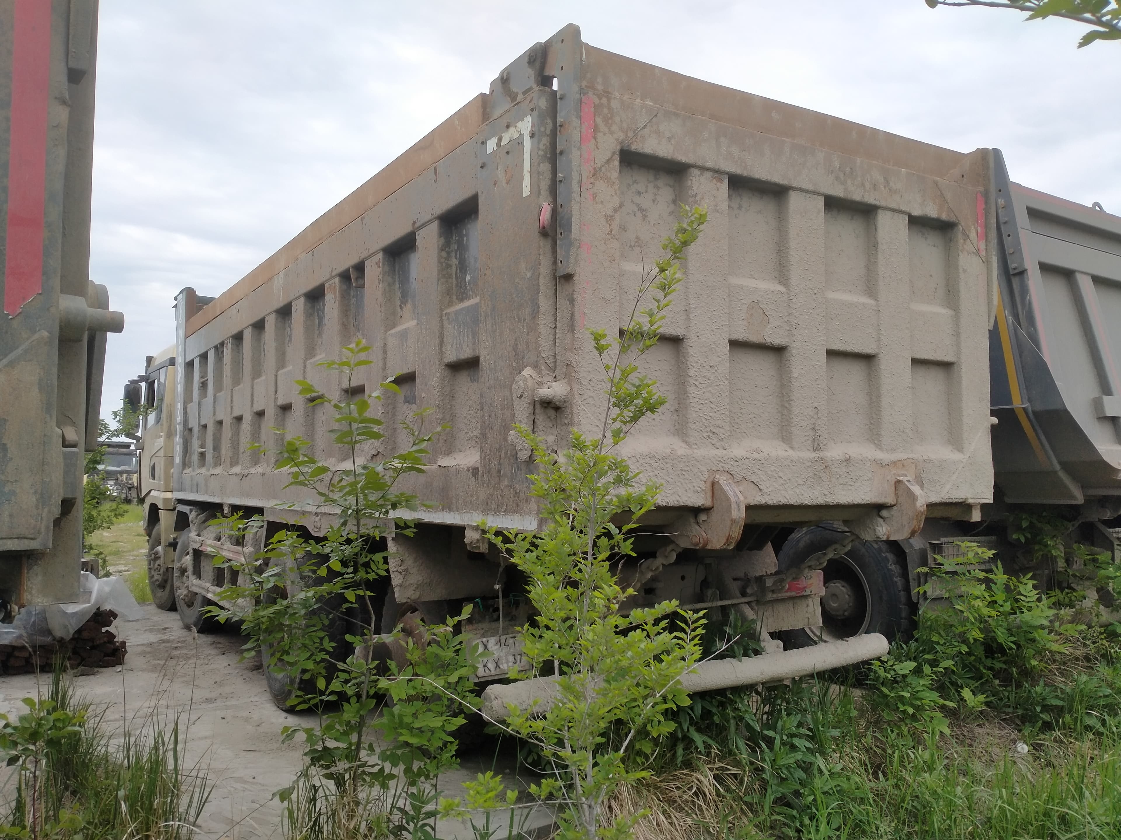 Shacman (Shaanxi) SX331863366 Самосвал 8х4 - 4