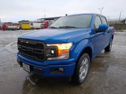 Ford F-150 - 1