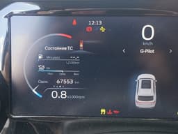 Geely Monjaro - 7