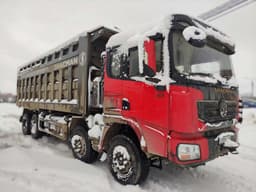 Shacman (Shaanxi) SX* 8x4 Самосвал - 2