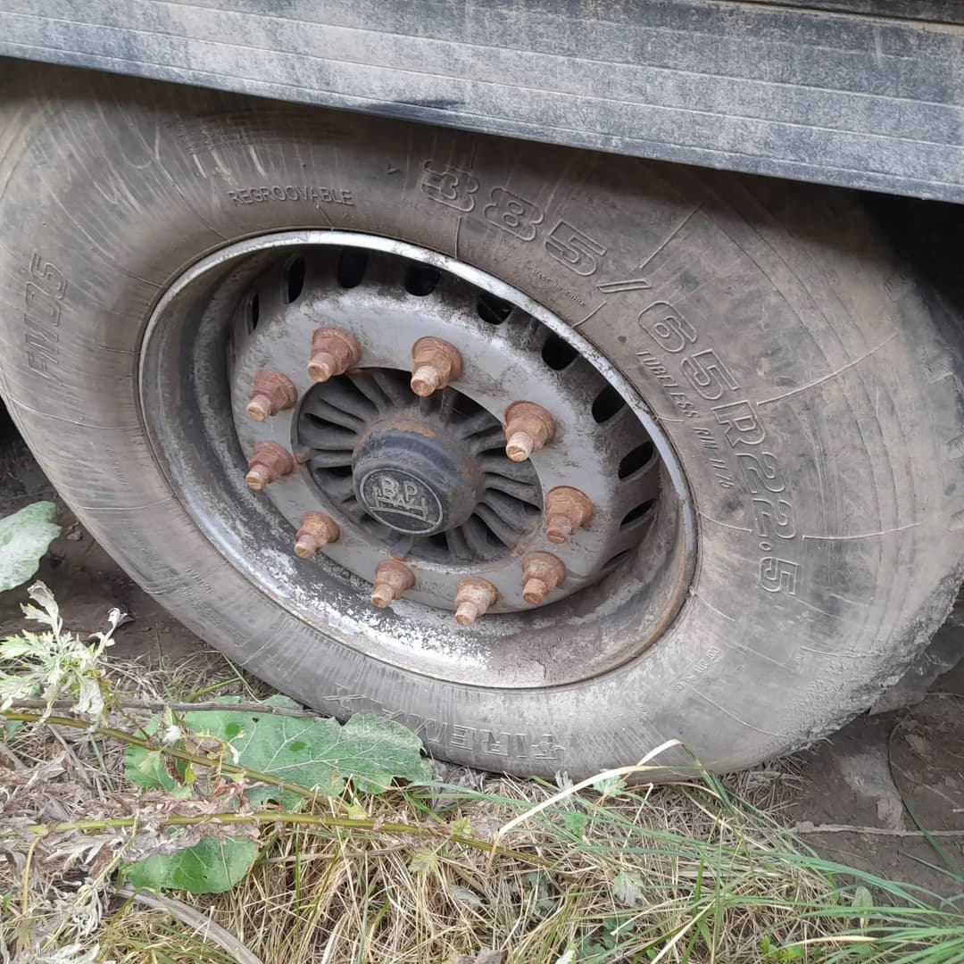 Krone SD Полуприцеп шторный - 4