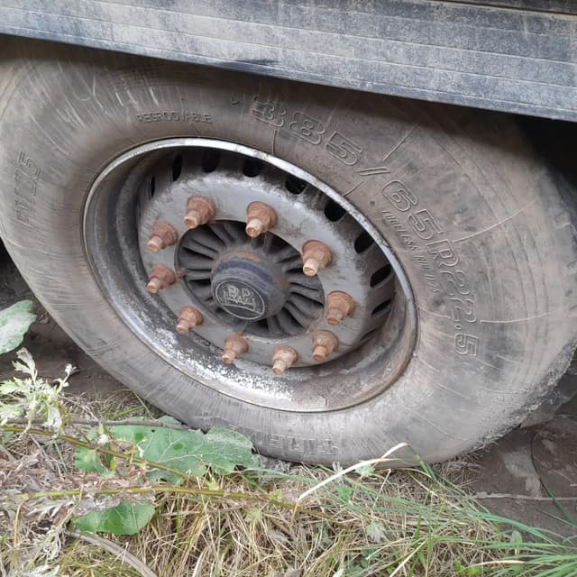 Krone SD Полуприцеп шторный - 4