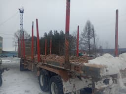Востокспецтрак 9880* Полуприцеп сортиментовоз - 4