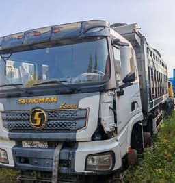 Shacman (Shaanxi) SX* 8x4 Самосвал - 1