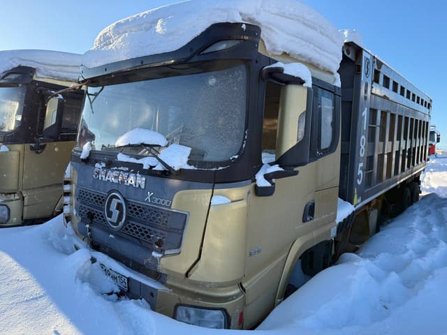 Shacman (Shaanxi) SX* 8x4 Самосвал - 1
