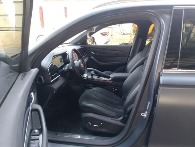 Geely Monjaro - 6