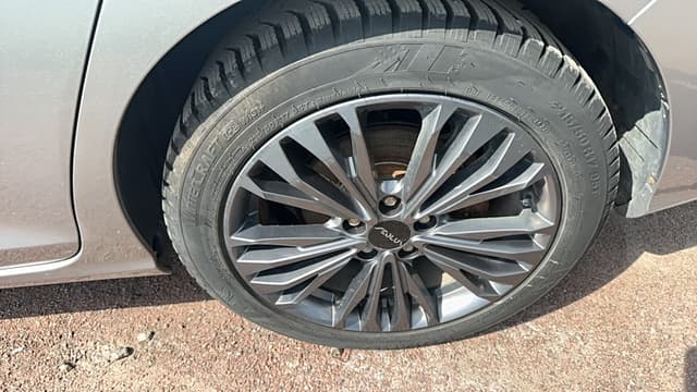 Dongfeng Shine Max - 10