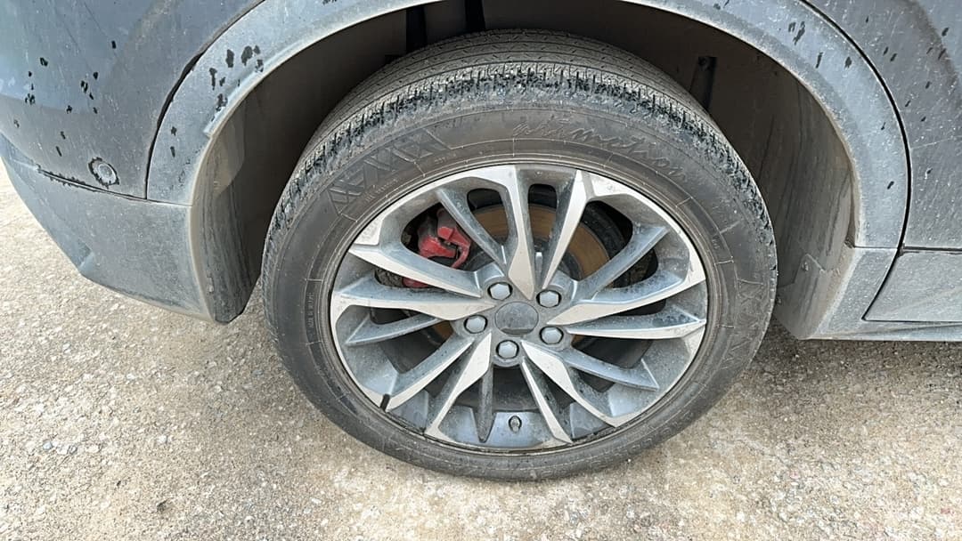Belgee X50 - 10