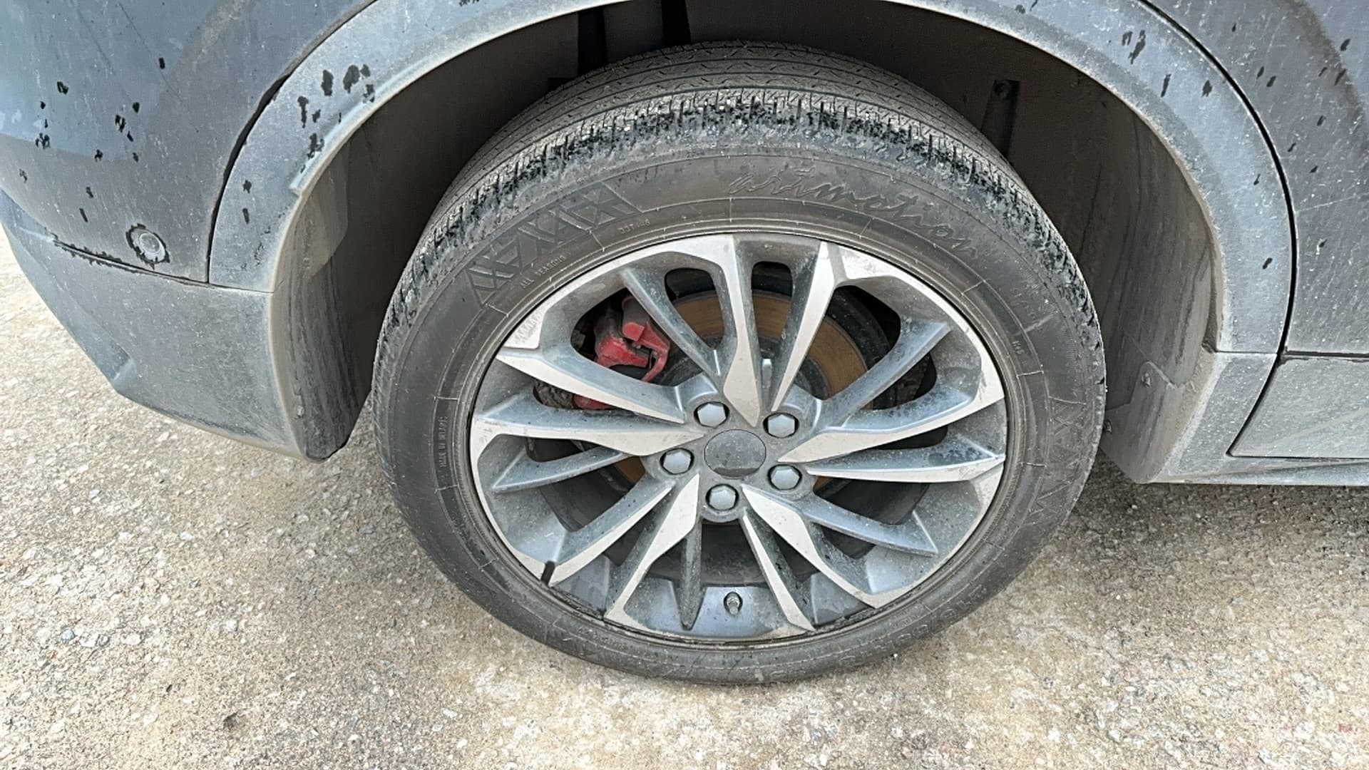 Belgee X50 - 10