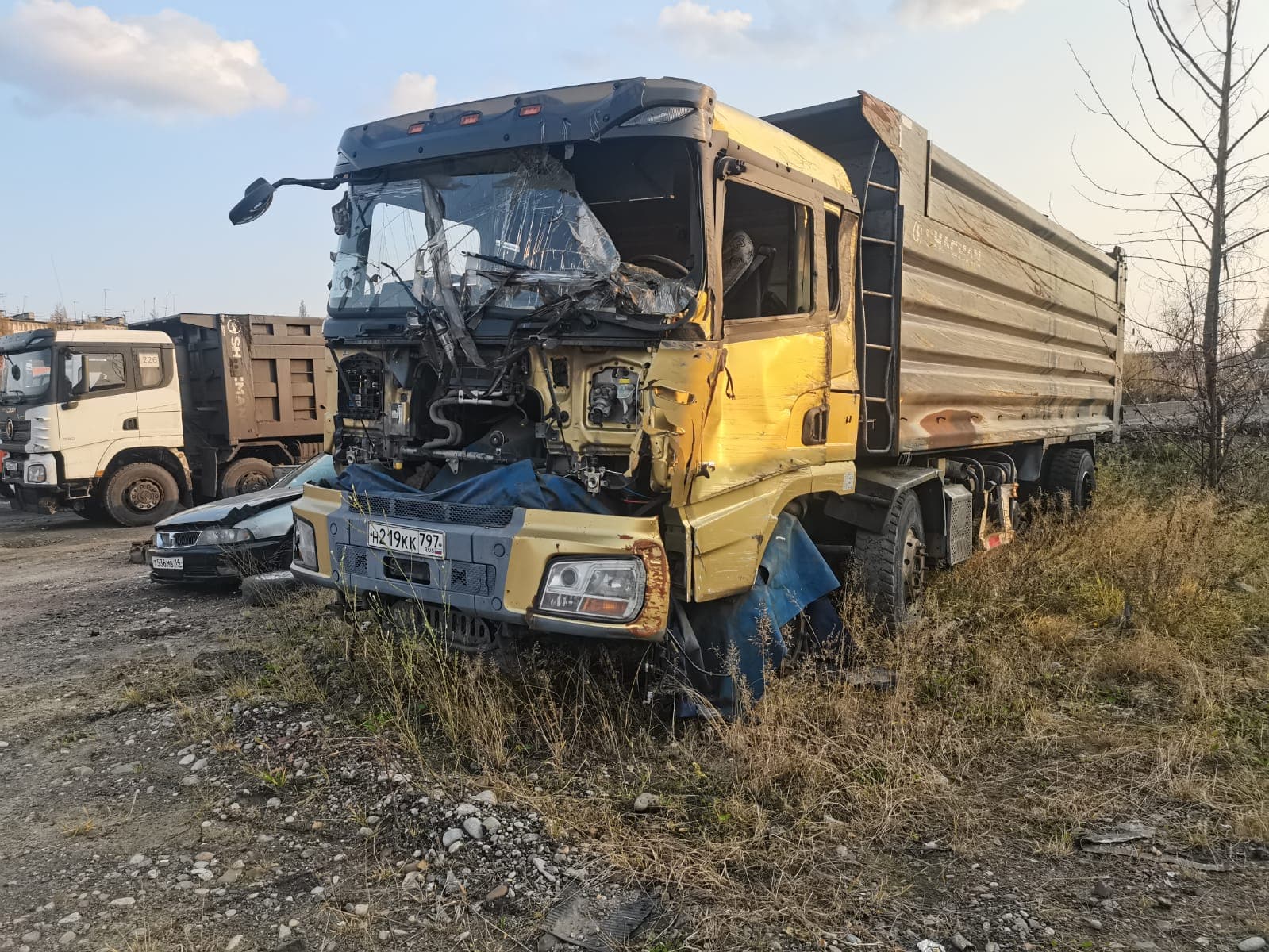 Shacman (Shaanxi) SX33186T366 8х4 Самосвал - 1