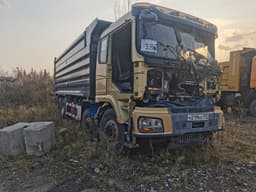 Shacman (Shaanxi) SX33186T366 8х4 Самосвал - 2