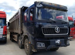 Shacman (Shaanxi) SX* 8x4 Самосвал - 2