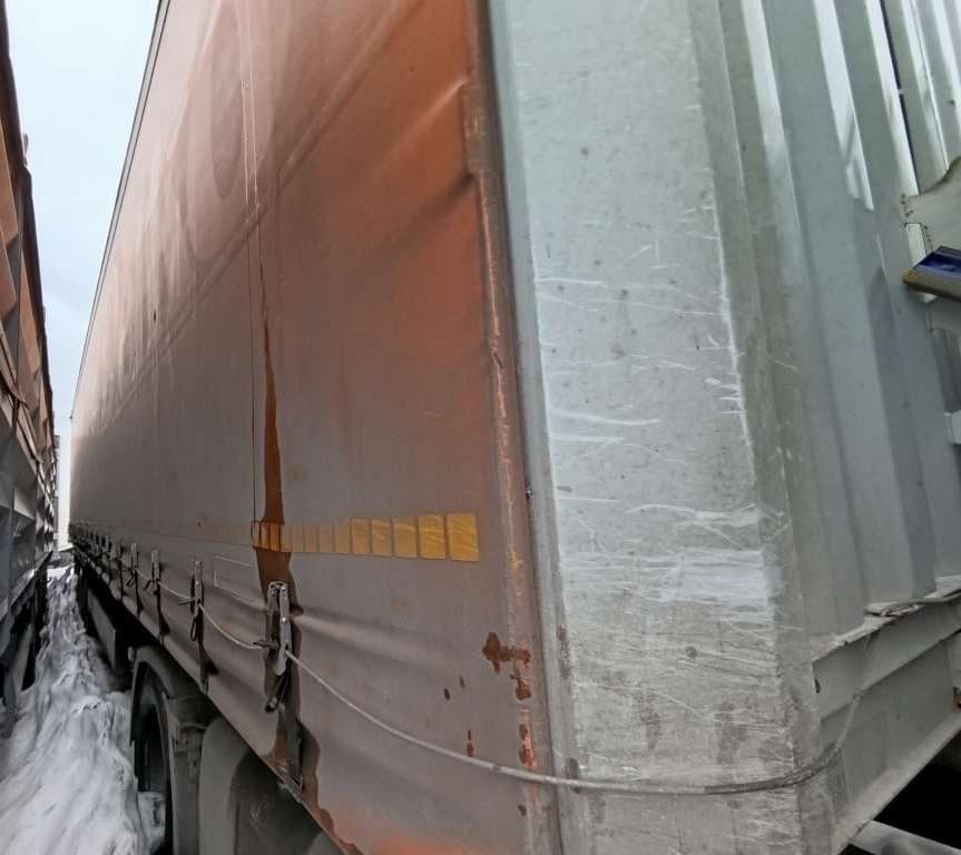 Krone SD Полуприцеп шторный - 2