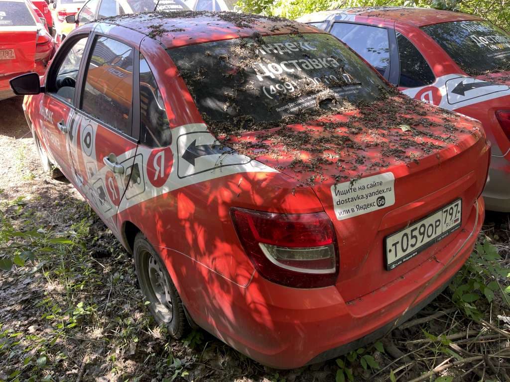 Lada Granta седан - 4