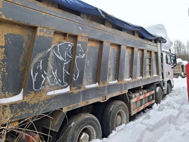 Shacman (Shaanxi) SX* 8x4 Самосвал - 3