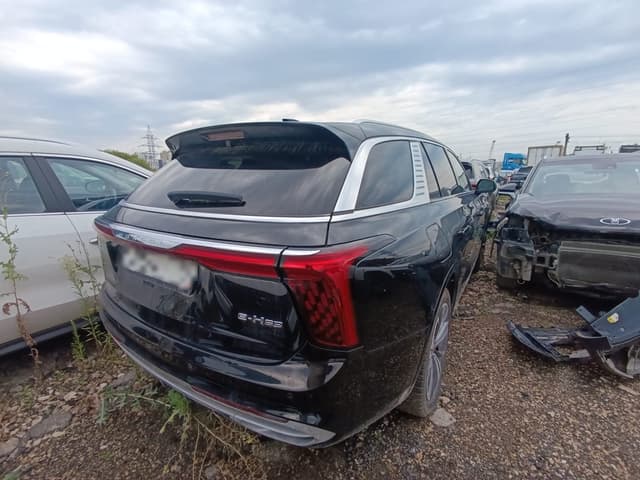 Hongqi E-HS9 - 3