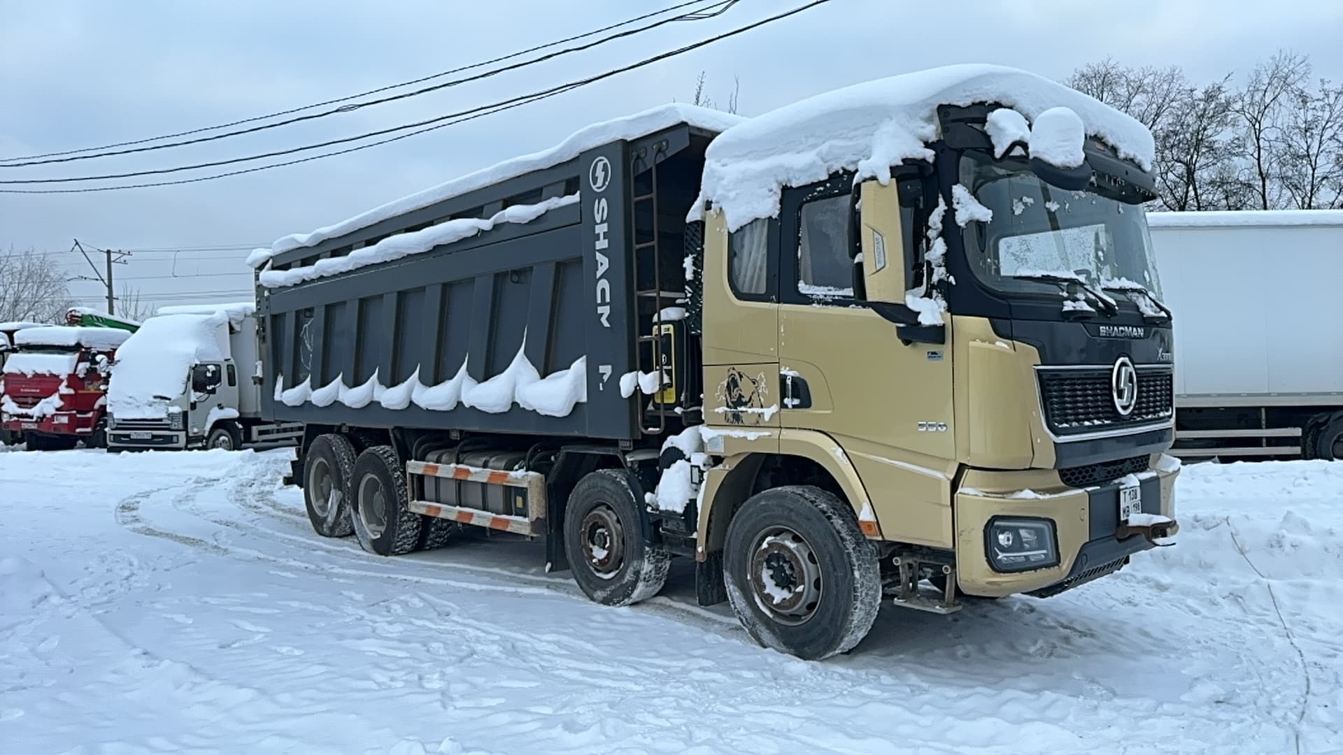 Shacman (Shaanxi) SX* 8x4 Самосвал - 2