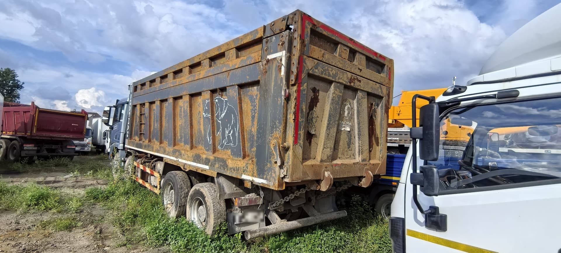 Shacman (Shaanxi) SX* 8x4 Самосвал - 4