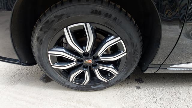 Hongqi HQ9 - 10