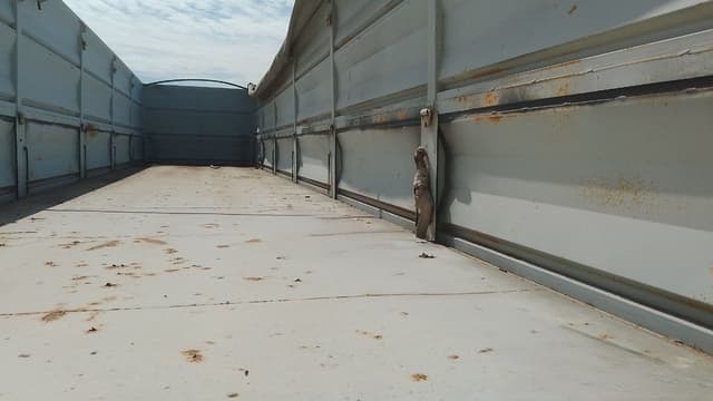 Пк Интерприцеп 8533* Полуприцеп зерновоз - 4