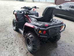 Aodes PATHCROSS ATV800 Снегоболотоход (квадроцикл) - 4