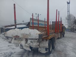 Востокспецтрак 9880* Полуприцеп сортиментовоз - 3