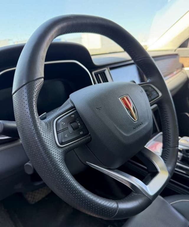 Hongqi HS7 - 5