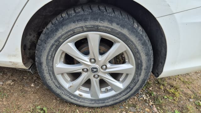 Changan Alsvin - 10