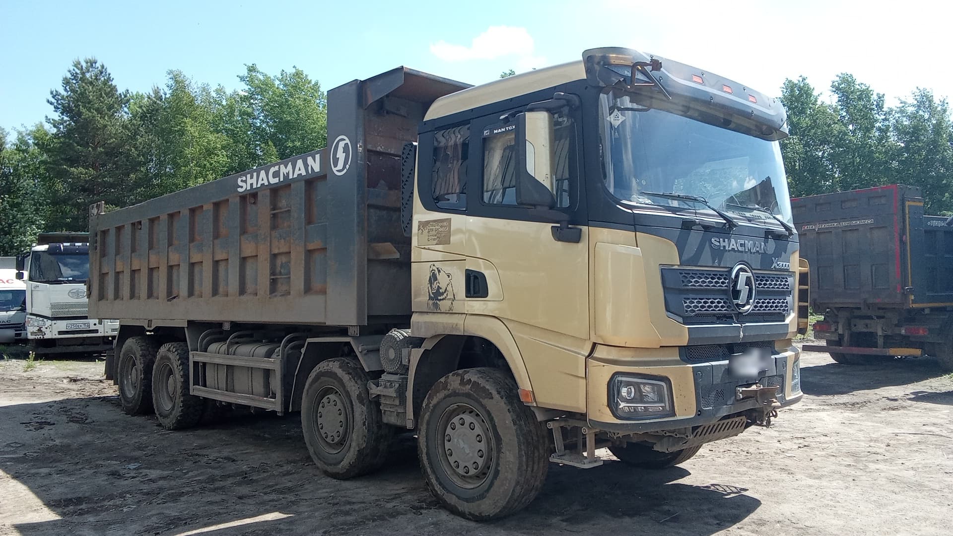 Shacman (Shaanxi) SX* 8x4 Самосвал - 2