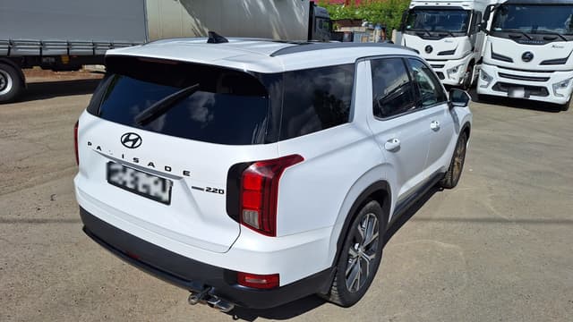 Hyundai Palisade - 3